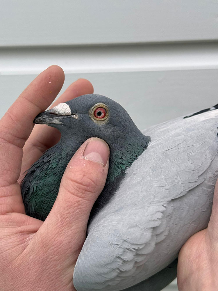 WhatsApp-Image-2024-04-29-at-14.30-2