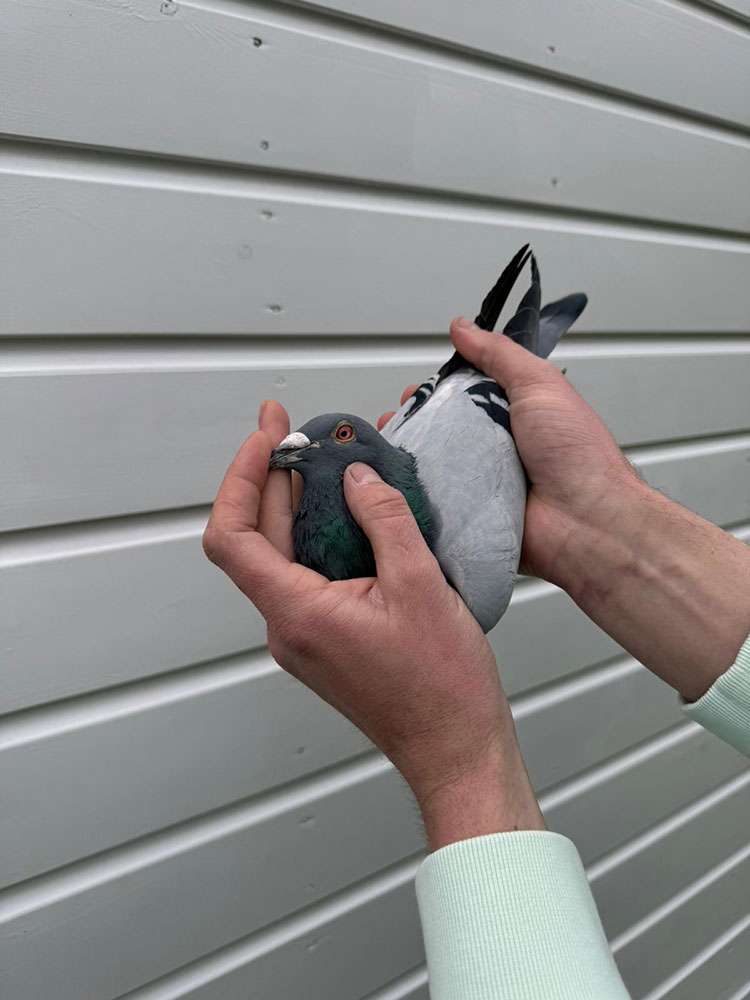 WhatsApp-Image-2024-04-29-at-14.30