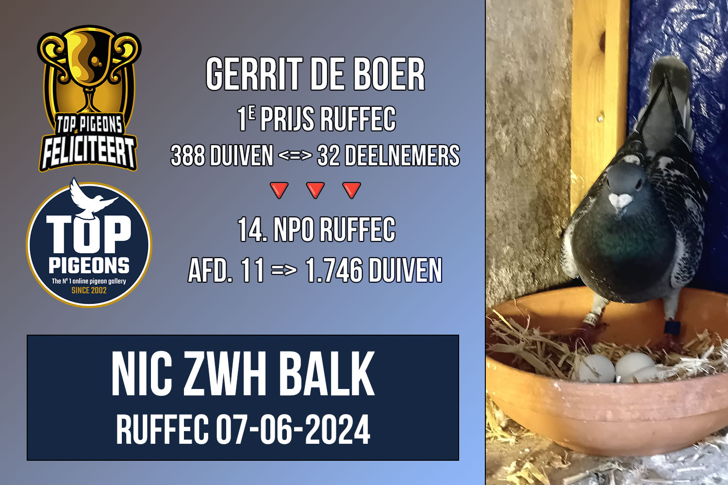 Gerrit-de-Boer-Ruffec