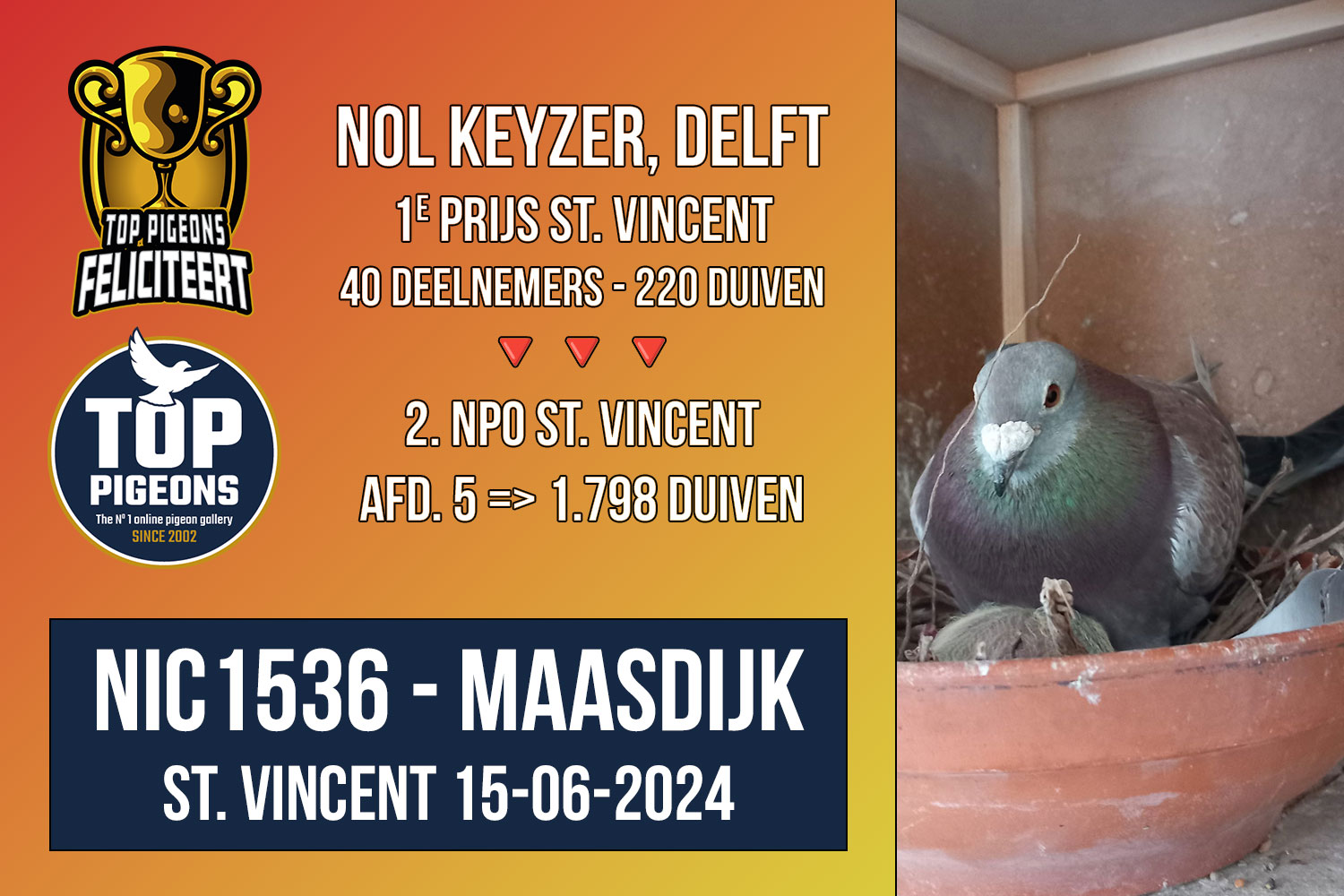 Opmaak-TP-Nol-Keyzer