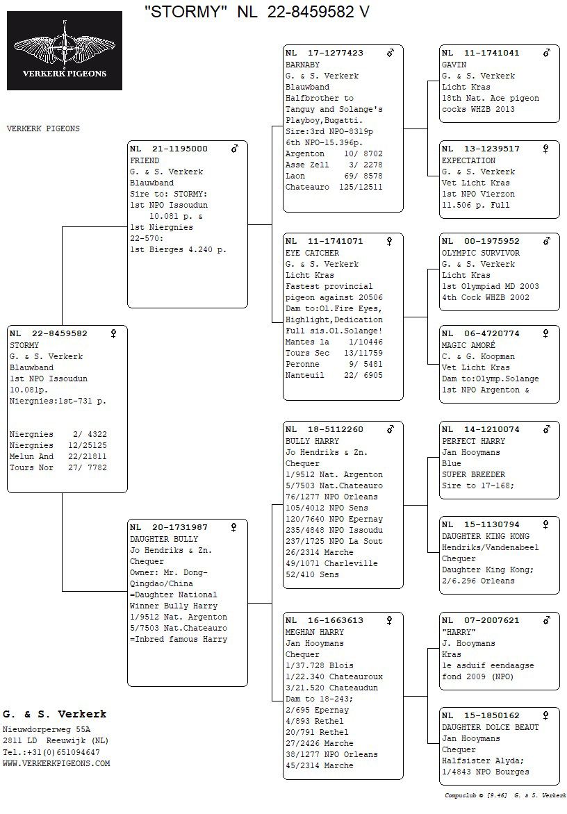 Stamboom 1e Issoudun