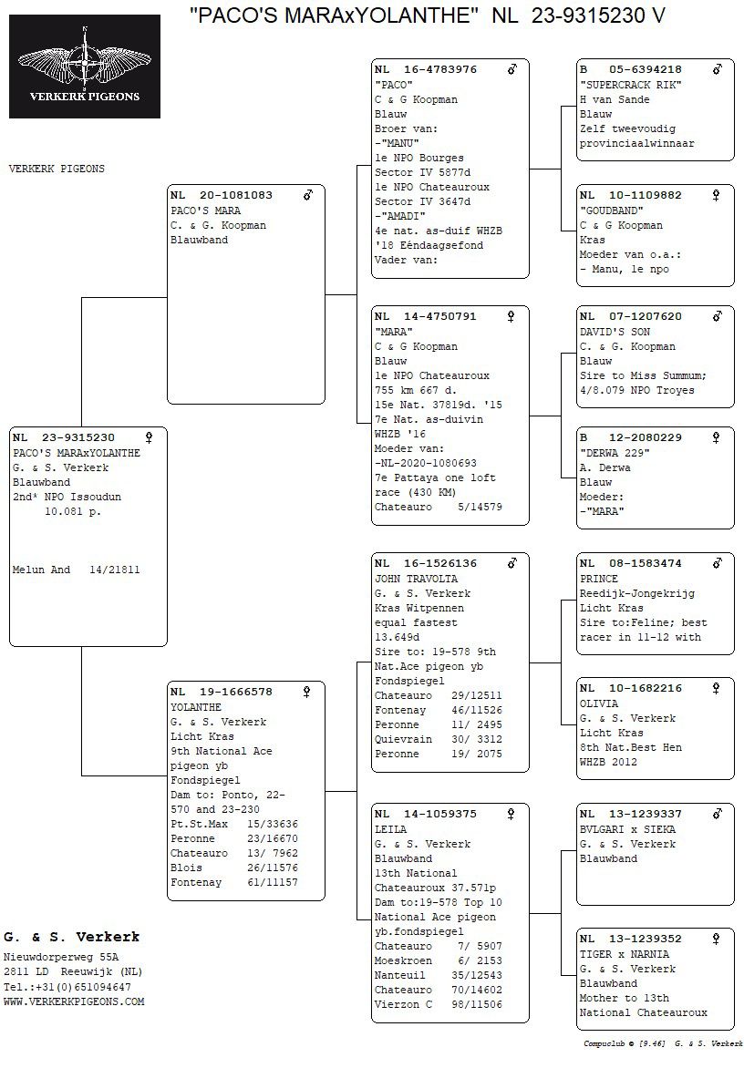 Stamboom 2e Issoudun