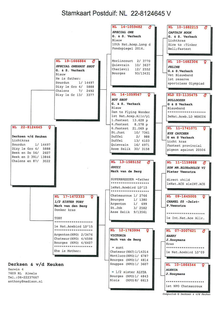 doc05682220240617120617